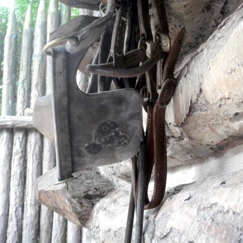 DSC01293.jpg