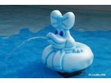 Tikes Peak at Blizzard Beach