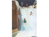Tikes Peak at Blizzard Beach