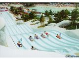 Toboggan Racers at Blizzard Beach
