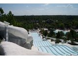 Toboggan Racers at Blizzard Beach