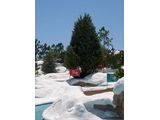 Snow Stormers at Blizzard Beach