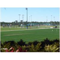 Hess Fields