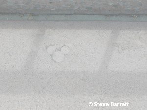Epcot HIdden Mickey