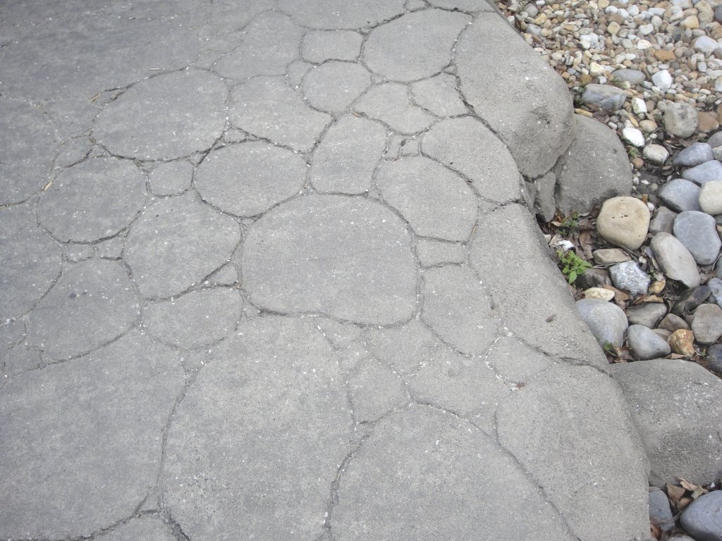Hidden Mickey