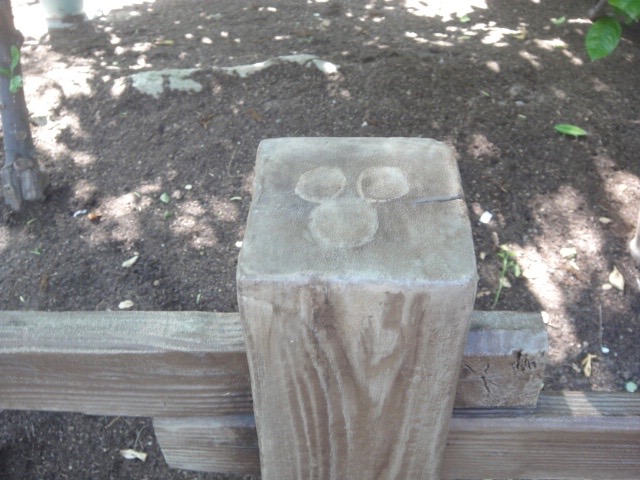 Hidden Mickey