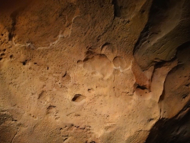 Hidden Mickey