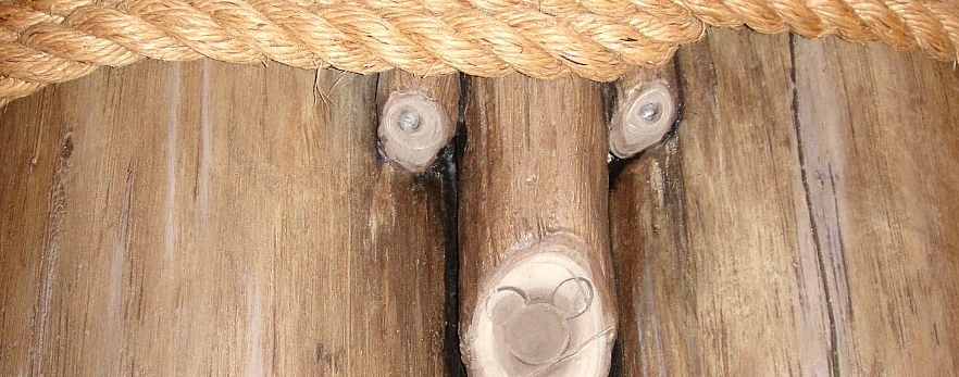 Hidden Mickey