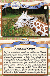card #11