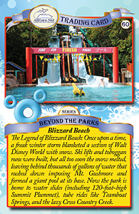 Bilzzzard Beach Trading Card