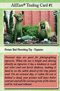 card #1