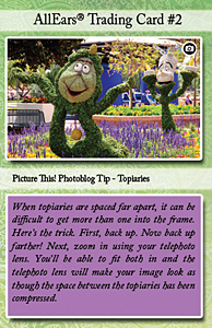 card #2