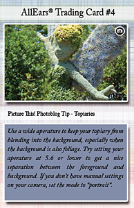 card #4