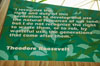 Disney World Wallpaper Signage