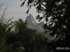 Disney World Wallpaper Animal Kingdom Everest