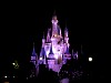 Disney World Wallpaper Cinderella's Castle