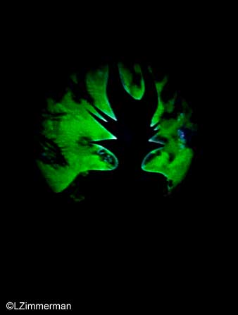 Maleficent