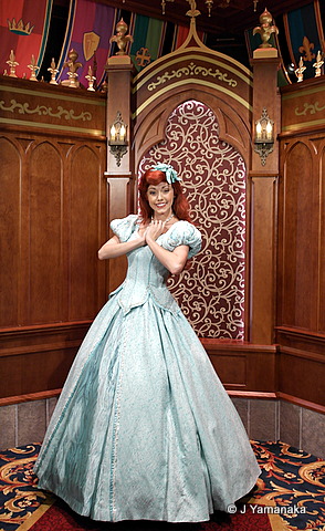 Ariel