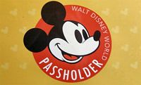 15 Annual Pass Stock