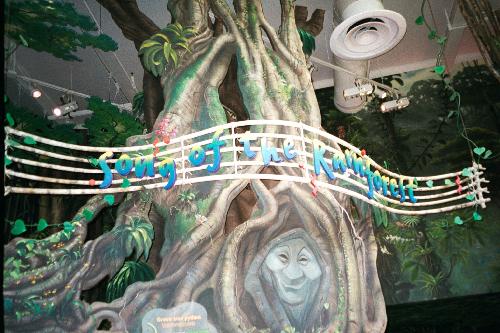 Song of the Rainforest at Disney's Animal Kingdom