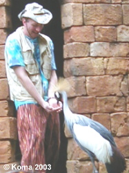 Guano Joe with Crowned Crane