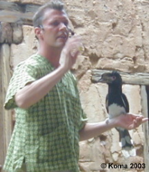 Trainer with Hornbill at Flights of Wonder