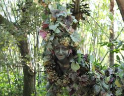 Divine - Walking Vine in Animal Kingdom