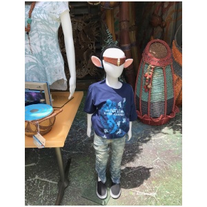 Windtraders Merchandise