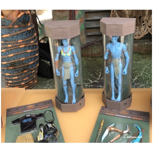 Windtraders Merchandise