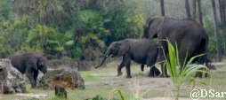 Kianga