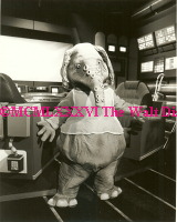 Hooter