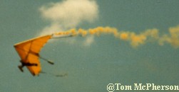 Surprise in the Skies Hang Glider