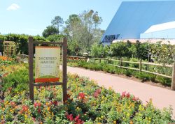 Backyard Habitat Epcot Flower and Garden Festival