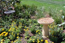 Backyard Habitat Epcot Flower and Garden Festival