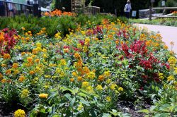 Backyard Habitat Epcot Flower and Garden Festival