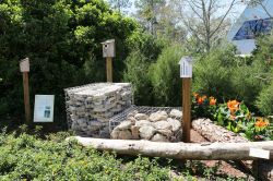 Backyard Habitat Epcot Flower and Garden Festival
