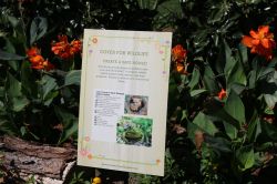 Backyard Habitat Epcot Flower and Garden Festival