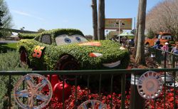 Cactus Road Rally Epcot Flower and Garden Festival