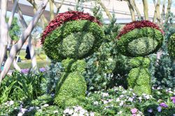 Fantasia Topiiaries Epcot Flower and Garden Festival