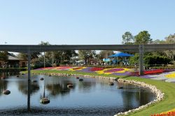 Epcot Flower and Garden Festival Blooms