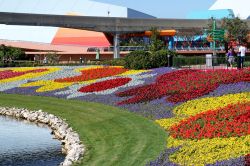Epcot Flower and Garden Festival Blooms