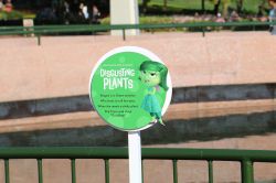 Inside Out Garden Epcot Flower and Garden Festival