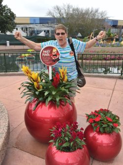 Inside Out Garden Epcot Flower and Garden Festival
