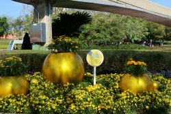 Inside Out Garden Epcot Flower and Garden Festival