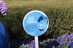 Inside Out Garden Epcot Flower and Garden Festival