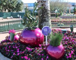 Inside Out Garden Epcot Flower and Garden Festival