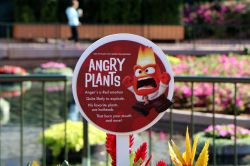 Inside Out Garden Epcot Flower and Garden Festival