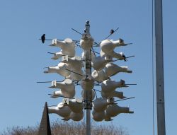 Purple Martins Epcot Flower and Garden Festival