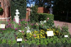 Shakespeare Garden United Kingdom Epcot Flower and Garden Festival