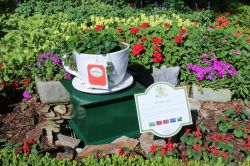 United Kingdom Tea Garden Epcot Flower and Garden Festival
